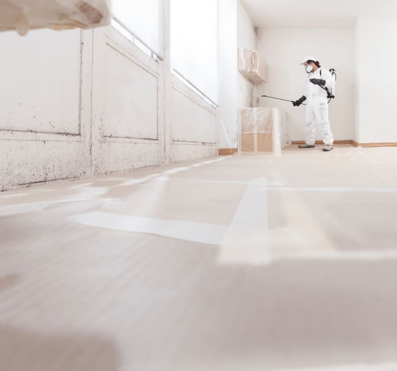 Basement Mold Removal in Broward County, FL
