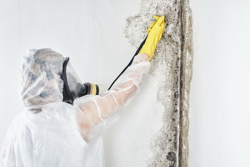 Mold Control in Rockwall, TX