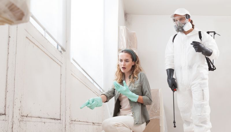 Attic Mold Remediation in Essex County, NJ