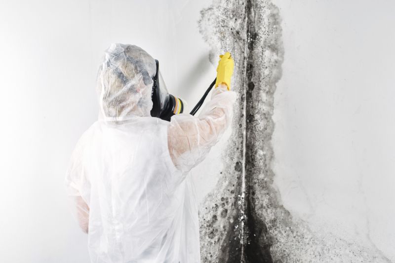Attic Mold Remediation in Boca Raton, FL