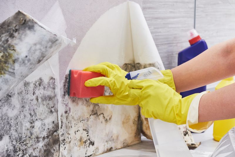 Basement Mold Remediation in West Palm Beach, FL