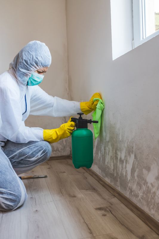 Crawlspace Mold Remediation in Jupiter, FL