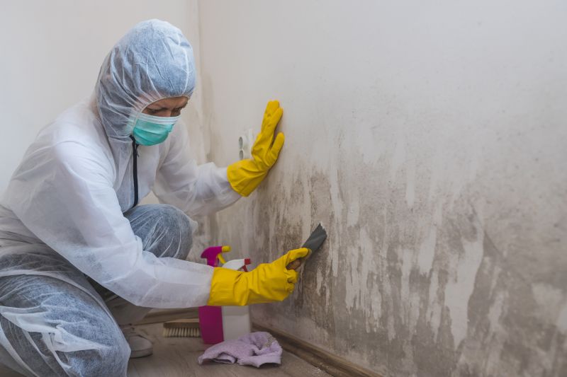 Mold Cleanup Service in Frisco, TX