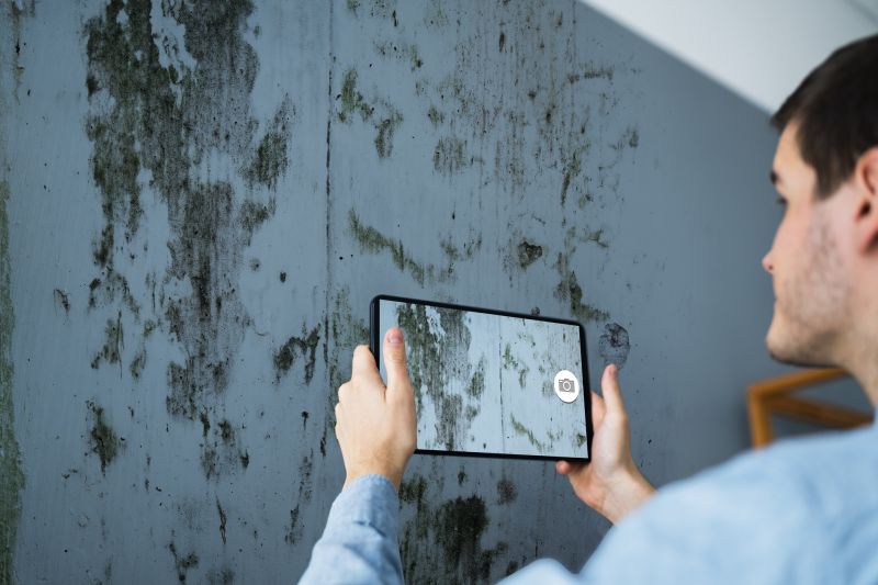 Mold Detection