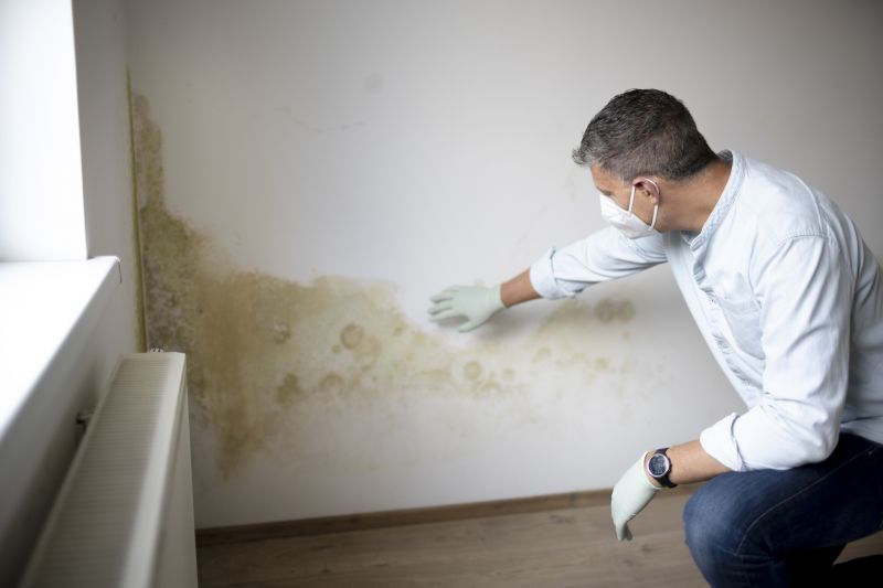Mold Detection
