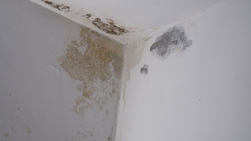 Moisture Intrusion